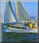 DROMOR 33ft - Click for more information
