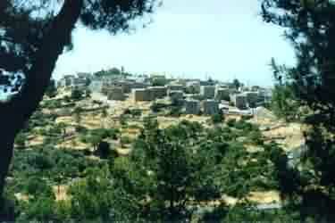 Avgonyma